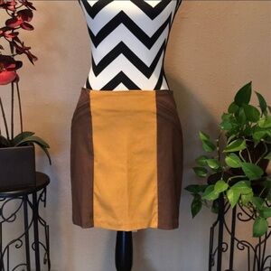 NWT Stretch Skirt